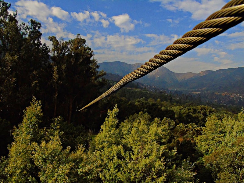 Ziplining Adventure